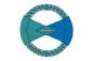 Preview: Ruffwear Pacific Ring Toy Aurora Teal Preview: Ruffwear Pacific Ring Toy Aurora Teal